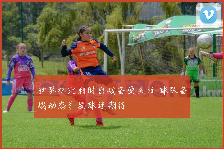 世界杯比利时出战备受关注 球队备战动态引发球迷期待